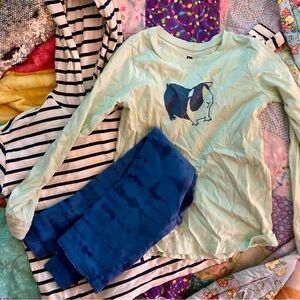 Tea Collection Hoodie + Guinea Pig and tie Dye leggings 7